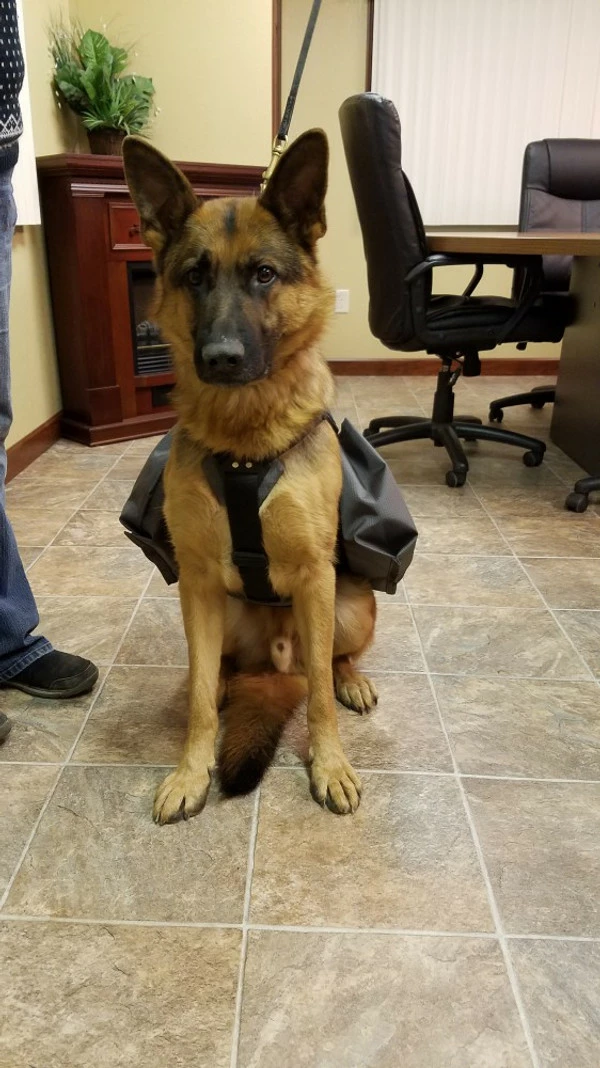 Service Dog Saddle Bag Grocery Getter Harness Vest 21 Service Dog Saddle Bag Grocery Getter Harness Vest - Image 21