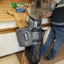 Service Dog Saddle Bag Grocery Getter Harness Vest 37 Service Dog Saddle Bag Grocery Getter Harness Vest -Agility Shop 707579 24 full 12344.1638911461
