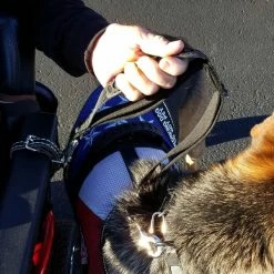 Wheelchair Pulling Dog Leash With Handle 12 Wheelchair Pulling Dog Leash With Handle -Agility Shop 707580 6 full 24206.1638911508