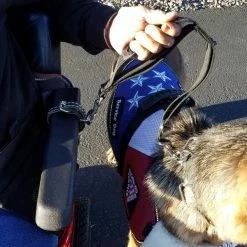 Wheelchair Pulling Dog Leash With Handle 13 Wheelchair Pulling Dog Leash With Handle -Agility Shop 707580 7 full 11375.1638911510