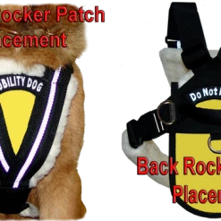 Service Dog Padded Pulling & Balance Harness -Agility Shop 707586 3 full 37769.1638911399