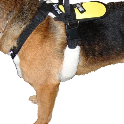Service Dog Padded Pulling & Balance Harness -Agility Shop 707586 6 full 01013.1638911400