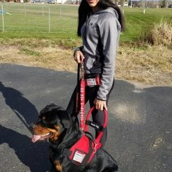 Padded Harness Vest With Window -Agility Shop 707587 104 full 76262.1667822799