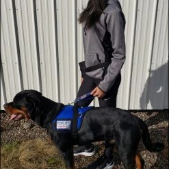 Padded Harness Vest With Window -Agility Shop 707587 108 full 71926.1667822799