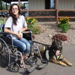 Wheelchair Pulling Leash -Agility Shop 707588 5 full 13072.1638911365