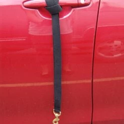 Wheelchair Pulling Leash -Agility Shop 707588 6 full 34214.1638911368