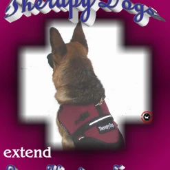 Therapy Dog T-Shirts -Agility Shop 707590 1 full 23406.1638911387