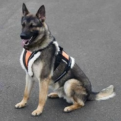 Search & Rescue Hi-Vis Tracking Harness -Agility Shop 707591 11O full 69842.1638911437