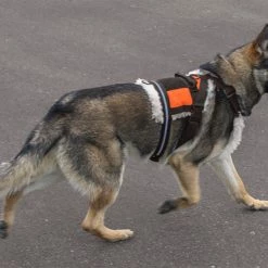 Search & Rescue Hi-Vis Tracking Harness -Agility Shop 707591 12O full 66396.1638911438
