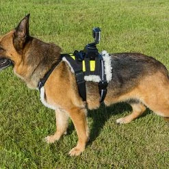 Search & Rescue Hi-Vis Tracking Harness -Agility Shop 707591 6 full 96107.1638911443