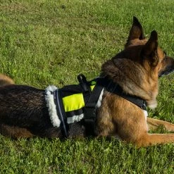 Search & Rescue Hi-Vis Tracking Harness -Agility Shop 707591 8 full 27451.1638911429