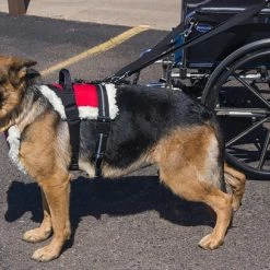 Wheelchair Pulling Harness -Agility Shop 707592 1 full 70107.1638911450