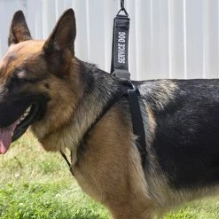 Personalized Step-in Service Dog Harness & Leash -Agility Shop 707594 1 full 67778.1638911442