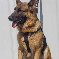 Personalized Step-in Service Dog Harness & Leash -Agility Shop 707594 2 full 16841.1638911446