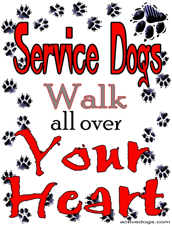 Service Dog Shirt 4 Service Dog Shirt - Image 4