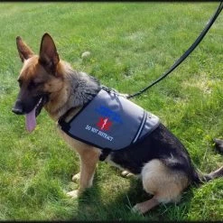 Service Dog/Therapy Dog ID Cape Vest -Agility Shop 707599 5 full 14190.1638911488