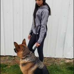 Service Dog Hands Free Leash - W/ Molded Handle -Agility Shop 707613 22 full 68015.1638911457