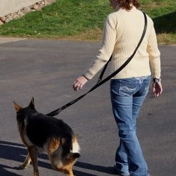 Service Dog Hands Free Leash - W/ Molded Handle -Agility Shop 707613 7 full 57717.1638911451
