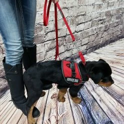 Padded Air-Tech Service Dog Harness Vest - 13 Color Variety -Agility Shop 707645 20 full 56510.1638911464