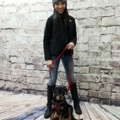 Service Dog Starter Kit - Padded Air-Tech Service Dog Harness Vest + Clip-on Bridge Handle & More -Agility Shop 707645 6 full 64748.1653306090