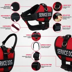 Service Dog Starter Kit - Padded Air-Tech Service Dog Harness Vest + Clip-on Bridge Handle & More -Agility Shop 707645 Ad20Features full 43078.1653306090