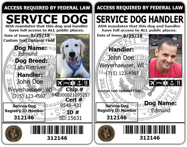 Premium Service Dog Travel Kit + 2 Identification Cards + Travel Tag + Service Dog Pouch + Free Digital Copy 2 Premium Service Dog Travel Kit + 2 Identification Cards + Travel Tag + Service Dog Pouch + Free Digital Copy - Image 2