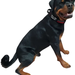 Service Dog Reflective Patch Collar W/ Handle -Agility Shop 707767 7 full 05557.1638911518