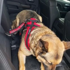 Service Dog Seat Belt Connector -Agility Shop 707803 5 full 78553.1638911508