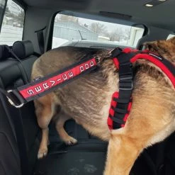 Service Dog Seat Belt Connector -Agility Shop 707803 8 full 82411.1638911498