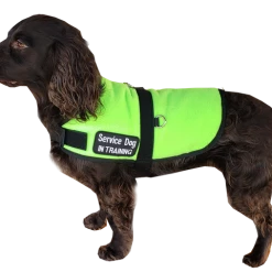 Service Dog Insulated Fleece Vest -Agility Shop 707854 60 full 26763.1648468999