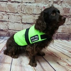 Service Dog Insulated Fleece Vest -Agility Shop 707854 63 full 15602.1648468999