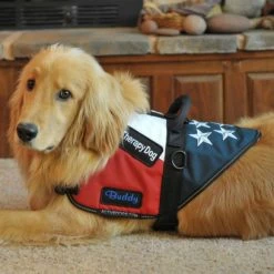 Patriotic Service Dog Vest With Handle -Agility Shop 707875 12 full 31521.1650278819