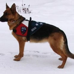 Patriotic Service Dog Vest With Handle -Agility Shop 707875 8 full 83853.1650278819