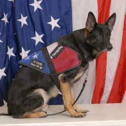 Patriotic Mesh Service Dog Vest -Agility Shop 707876 9 full 38906.1656327818