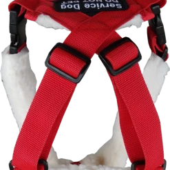 Patriotic Pulling & Balance Harness -Agility Shop 707877 7 full 40959.1638911465