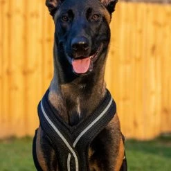 Padded Easy Walk Harness No Pull Dog Vest- Black Reflective Spacer Mesh -Agility Shop 707900 105 full 20994.1638911522