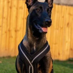 Padded Easy Walk Harness No Pull Dog Vest- Black Reflective Spacer Mesh -Agility Shop 707900 106 full 07106.1638911533