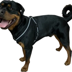 Padded Easy Walk Harness No Pull Dog Vest- Black Reflective Spacer Mesh -Agility Shop 707900 11 full 56278.1638911525