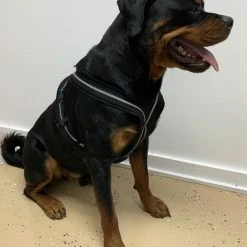 Padded Easy Walk Harness No Pull Dog Vest- Black Reflective Spacer Mesh -Agility Shop 707900 13 full 49949.1638911527