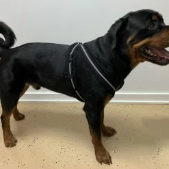 Padded Easy Walk Harness No Pull Dog Vest- Black Reflective Spacer Mesh -Agility Shop 707900 14 full 48715.1638911528