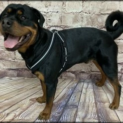 Padded Easy Walk Harness No Pull Dog Vest- Black Reflective Spacer Mesh -Agility Shop 707900 4 full 16201.1638911534