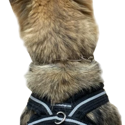 Padded Easy Walk Harness No Pull Dog Vest- Black Reflective Spacer Mesh -Agility Shop 707900 5 full 13269.1638911518