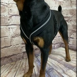 Padded Easy Walk Harness No Pull Dog Vest- Black Reflective Spacer Mesh -Agility Shop 707900 7 full 31101.1638911520