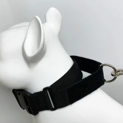 Service Dog No Slip Martingale Patch Collar -Agility Shop 707904 9 full 08759.1638911521