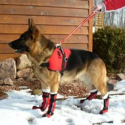Ultimate Dog Boots (Set Of 2) -Agility Shop 70800c 44021.1638911505