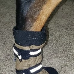 Non Slip Reflective Dog Boots (set Of 2) -Agility Shop 708105 11 full 82713.1646860823