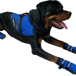 Non Slip Reflective Dog Boots (set Of 2) -Agility Shop 708105 7 full 61244.1646860823