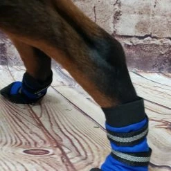 Non Slip Reflective Dog Boots (set Of 2) -Agility Shop 708105 9 full 44832.1646860823