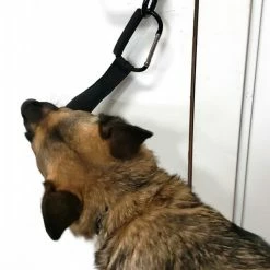 Open Task Training Carabiner -Agility Shop 708247 102 full 05262.1638911418