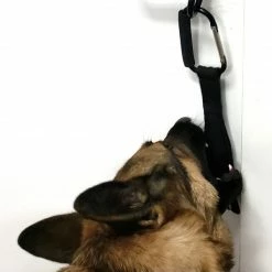 Open Task Training Carabiner -Agility Shop 708247 103 full 61495.1638911420